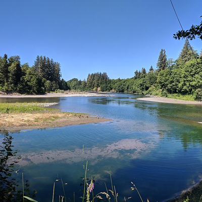 The Quillayute River on the Olympic Peninsula of Washington State The Quillayute River on the Olympic Peninsula of Washington State