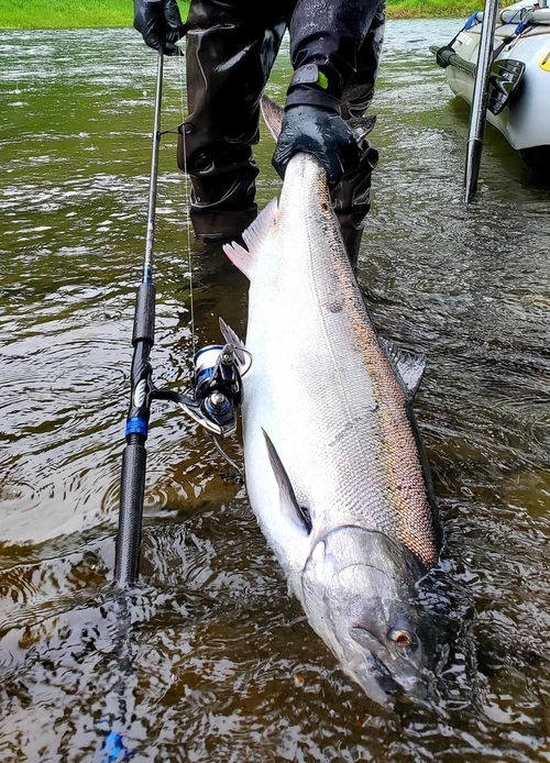 https://www.olympicpeninsulaguideservice.com/images/stryker-rods.jpg