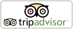 trip-advisor-reviews.png